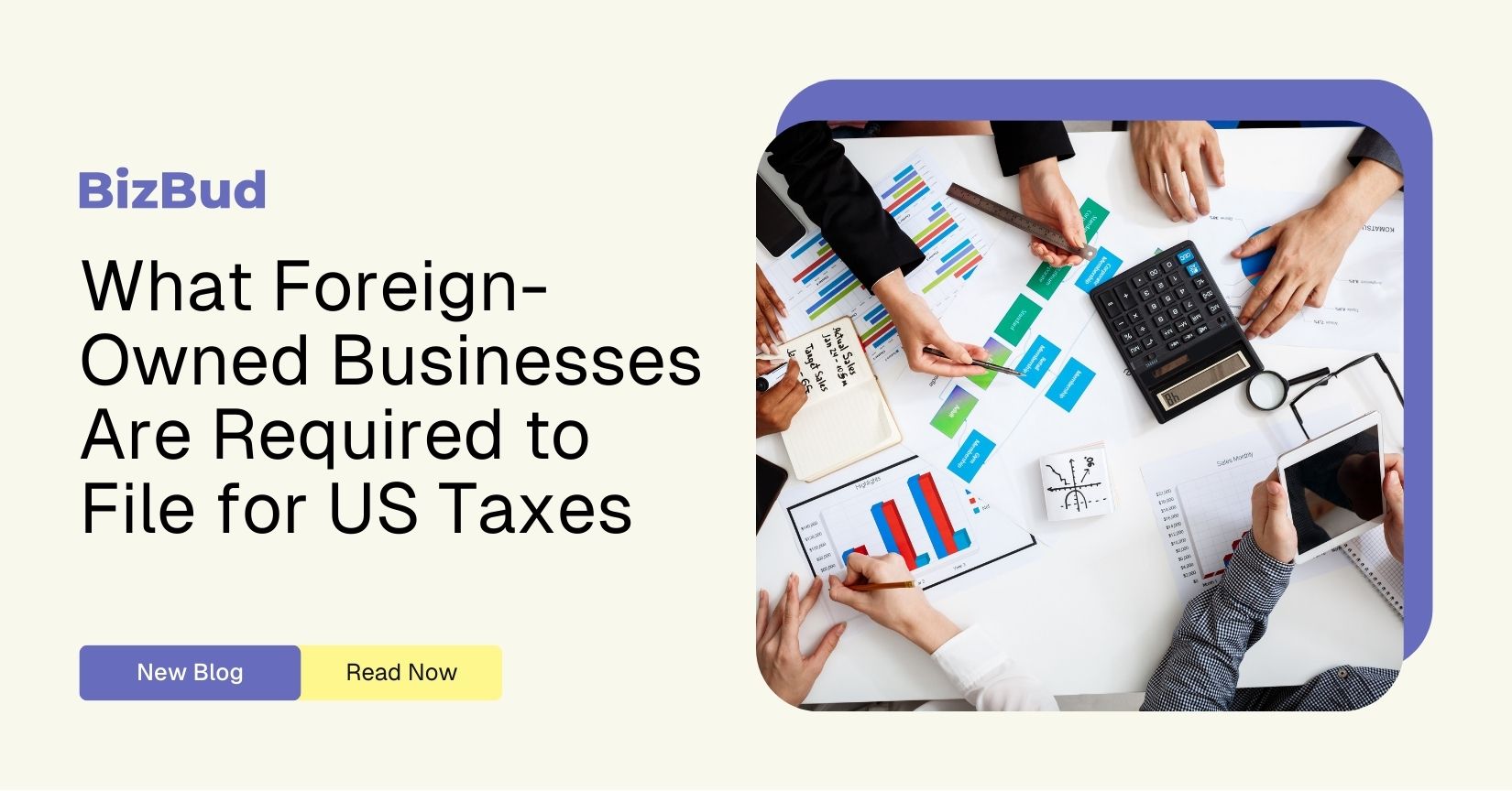 us tax for foreign owned business